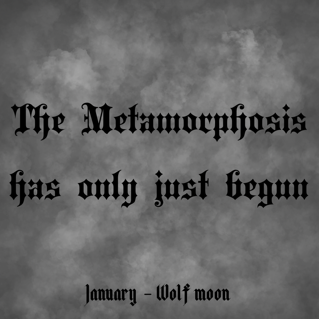 🐛 The Metamorphosis Has Only Just Begun 🦋